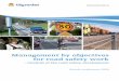 Management by objectives for road safety work