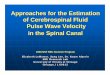 Approaches for the Estimation of Cerebrospinal Fluid Pulse 