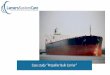 Case study “Propeller Bulk Carrier” - Lamers System Care
