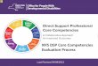 NYS DSP Core Competencies Evaluation Process