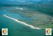 10 Years of Living Shorelines In Alabama