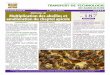 MAPM/DEFR Méthodes de Multiplication des abeilles et n 