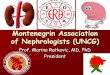 Montenegrin Association of Nephrologists