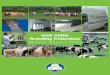 Irish Cattle Breeding Federation