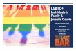 LGBTQ+ Individuals in Family & Juvenile Courts