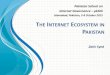THE INTERNET ECOSYSTEM IN PAKISTAN