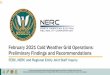 February 2021 Cold Weather Grid Operations: Preliminary 