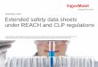 Extended safety data sheets under REACH and CLP regulations