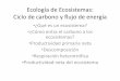 Ecología de Ecosistemas: Ciclo de carbono y flujo de energía