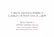 SMA/SI Functional Interface: Summary of SMM Tests at CSEM