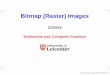Bitmap (Raster) Images