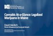 Cannabis At-a-Glance: Legalized Marijuana in Maine