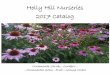 Holly Hill Nurseries 2017 Catalog - nebula.wsimg.com