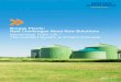 Biogas Plants: New Challenges Need New Solutions