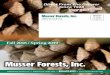 Fall 2018 / Spring 2019 - Musser Forests