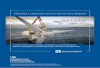 MeyGen Lessons Learnt Summary Report