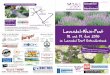 Lavendel-Schaugarten und Lebens(bach)lauf