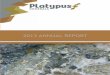 Platypus Minerals 2013 - Lepidico