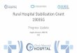 Rural Hospital Stabilization Grant 19035G