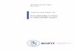 BOFIT Discussion Papers 22 2017 Jianpo Xue and Chong K. Yip