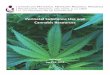 Perinatal Substance Use and Cannabis Resources
