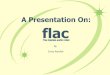 A Presentation On: flac - McGill University