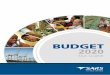 BUDGET 2020 - South African Revenue Service