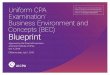 Exam Blueprint - BEC Section Only - AICPA