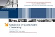 Catalysis in Sustainable Chemistry