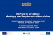 EGNOS in aviation: strategy and implementation status