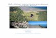 McNeil Island Habitat Restoration Project Feasibility Report