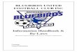 BLUEBIRDS UNITED FOOTBALL CLUB INC