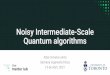 Noisy Intermediate-Scale Quantum algorithms