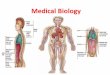 Medical Biology - uoanbar.edu.iq