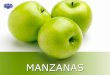MANZANAS - WordPress.com