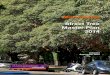 Marrickville Street Tree Master Plan 2014