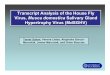 Transcript Analysis of the House Fly Virus, Musca 