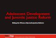 Adolescent Development and Juvenile Justice Reform