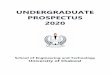 UNDERGRADUATE PROSPECTUS 2020