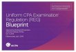 Exam Blueprint - REG Section Only