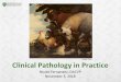Lindee Climo Clinical Pathology in Practice