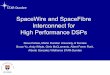 SpaceWire and SpaceFibre Interconnect for High Performance 