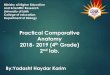 Practical Comparative Anatomy 2018- 2019 (4 Grade) 2 lab