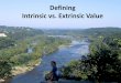 Intrinsic vs. Extrinsic Value