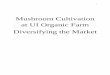 Mushroom Cultivation at UI Organic Farm Diversifying the 