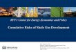 Cumulative Risks of Shale Gas Development