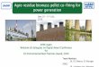 DADRI Agro residue biomass pellet co-firing for power 