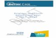 Brighton and Hove Better Care Plan 2017 - 2019