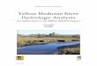 Yellow Medicine River Hydrologic Analysis