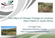 The effect of Climate Change on Invasive Alien Plants in 